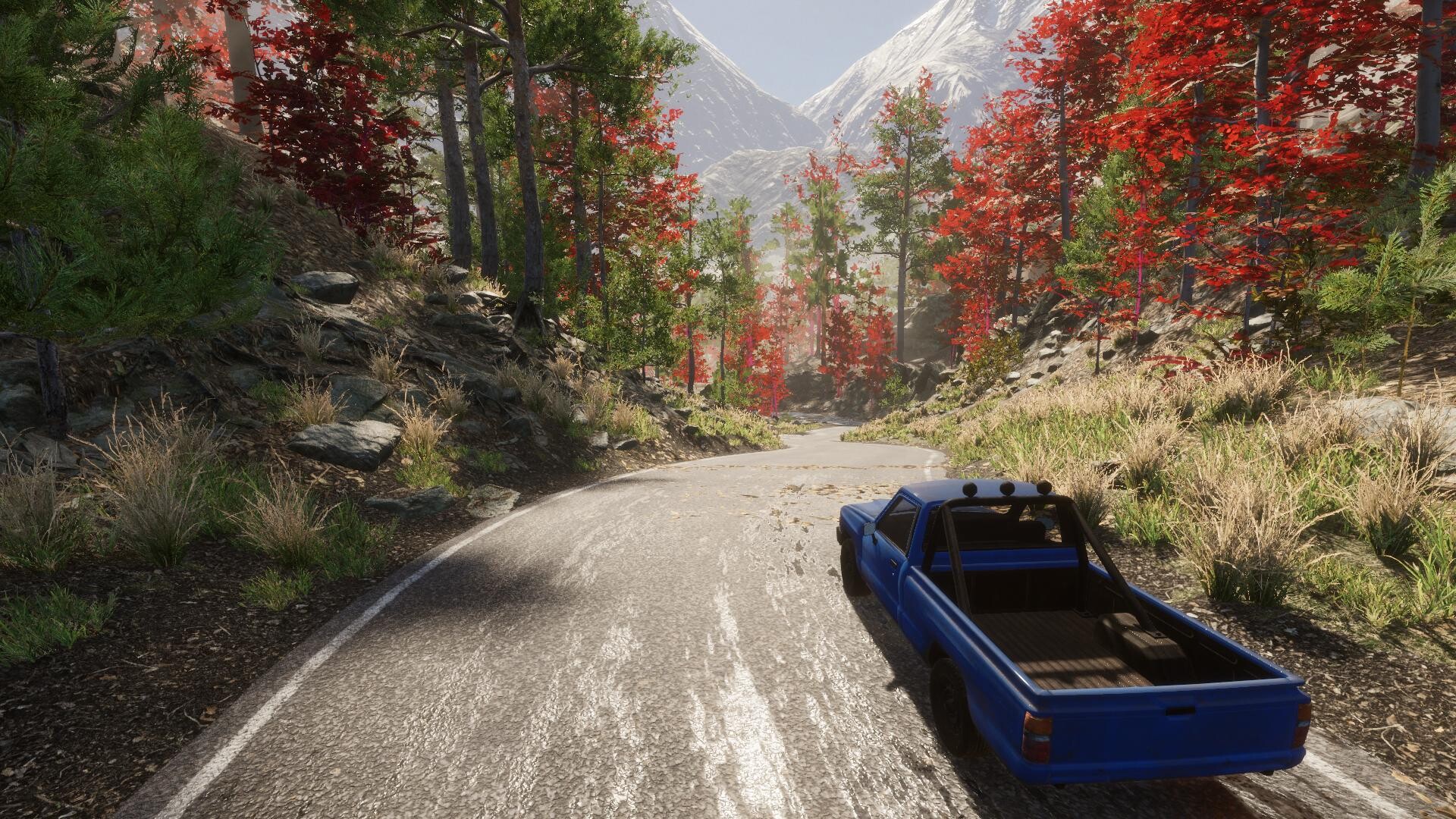 Eco Volunteer Screenshot 13