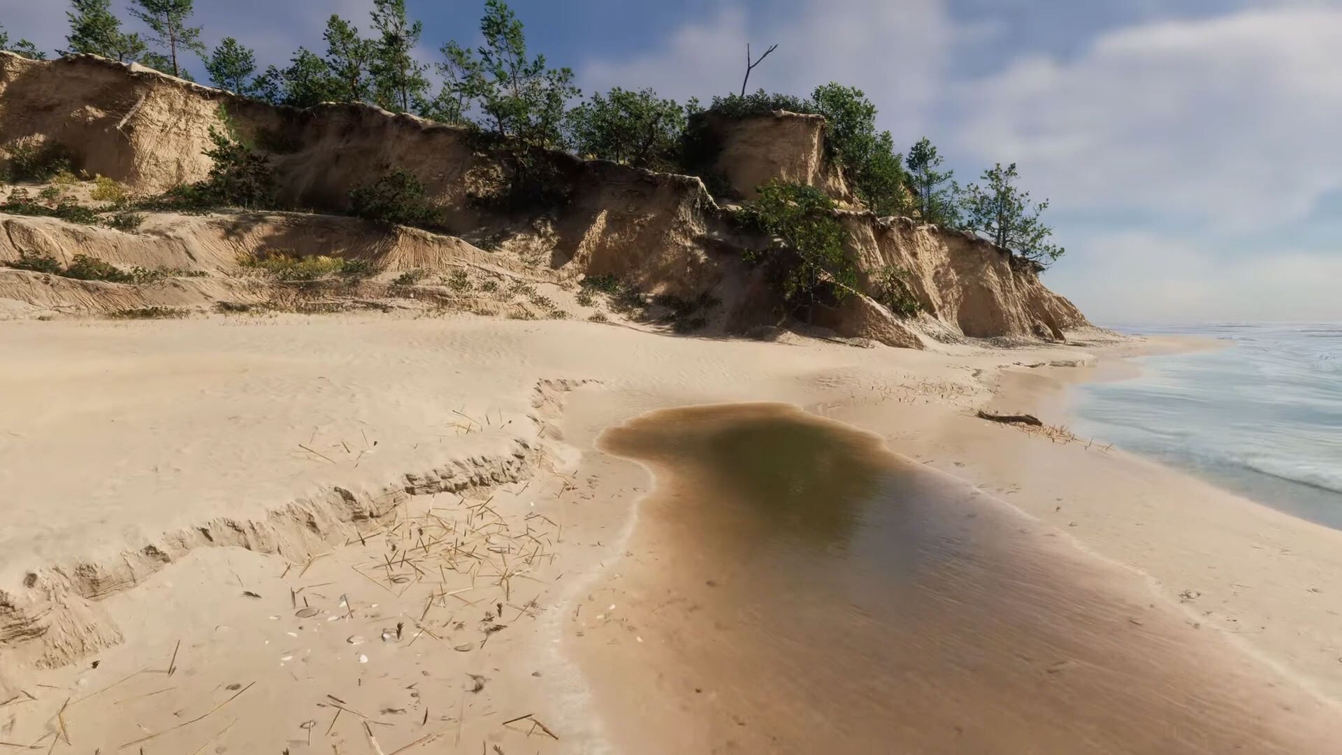 Eco Volunteer Screenshot 23