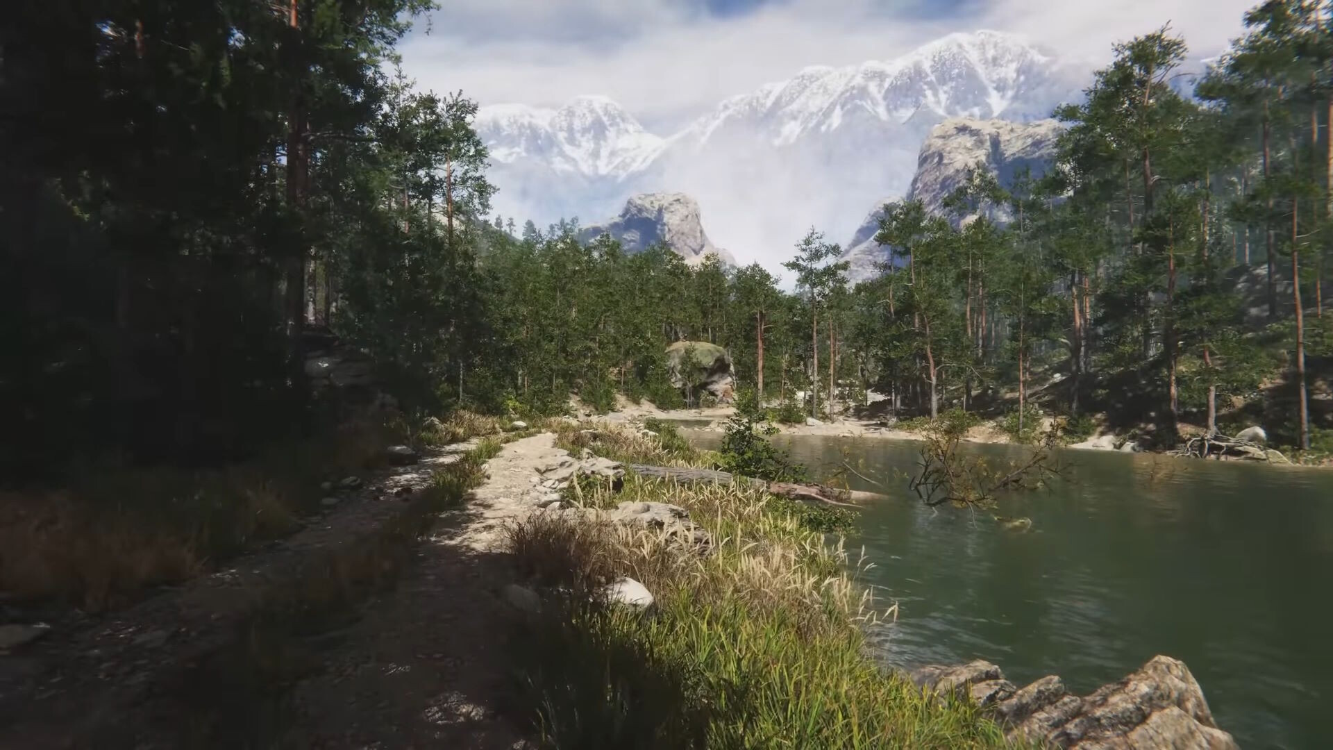 Eco Volunteer Screenshot 20