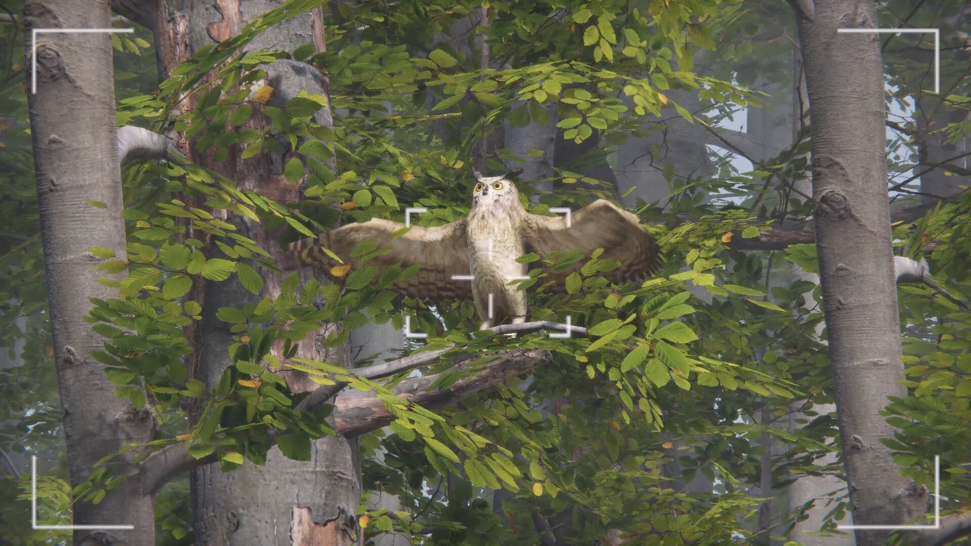 Eco Volunteer Screenshot 8