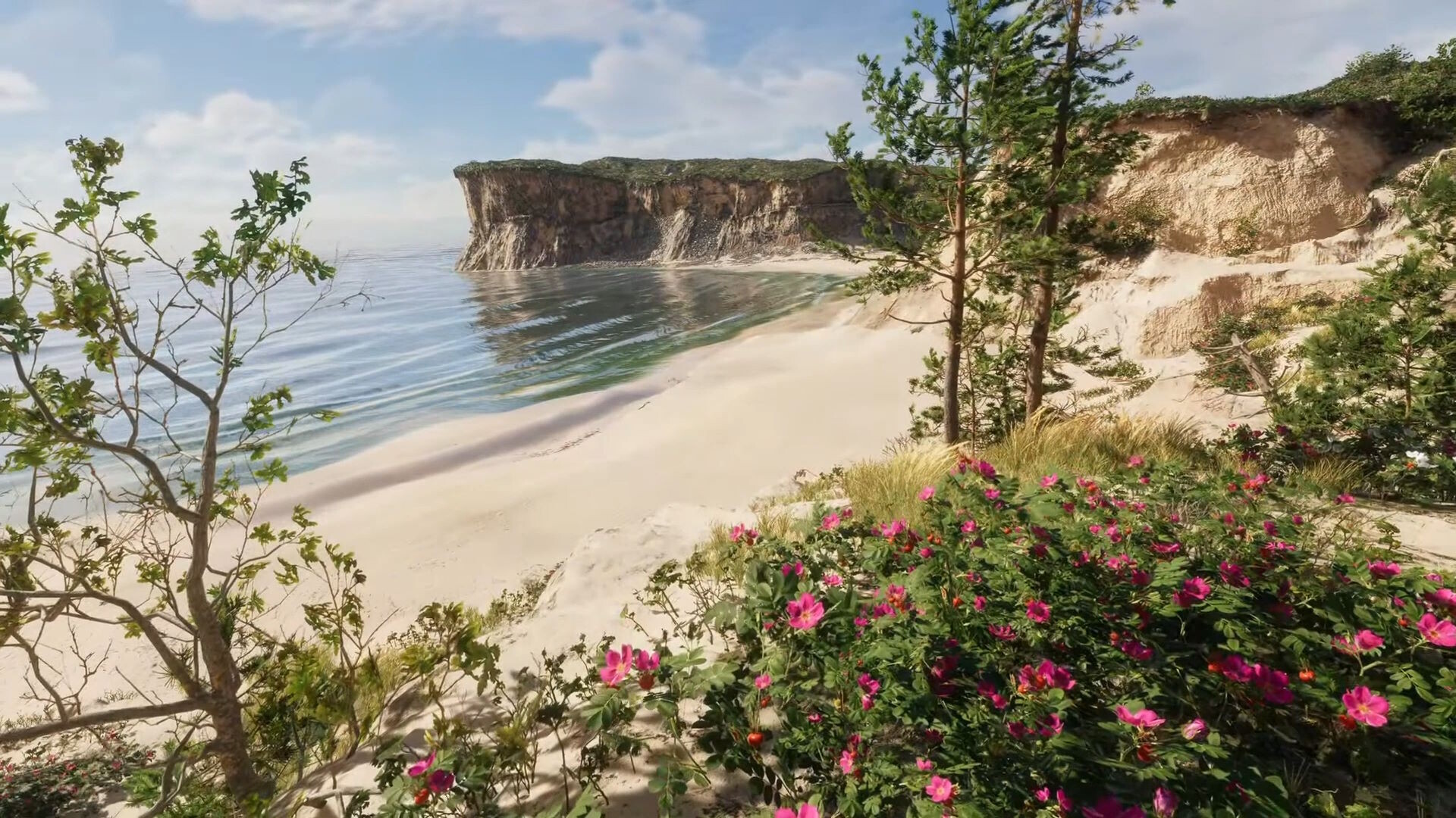 Eco Volunteer Screenshot 19