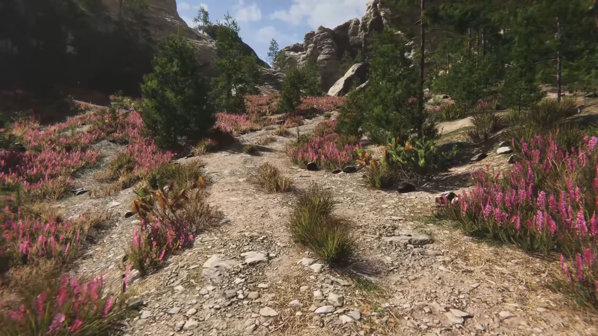 Eco Volunteer Screenshot 21