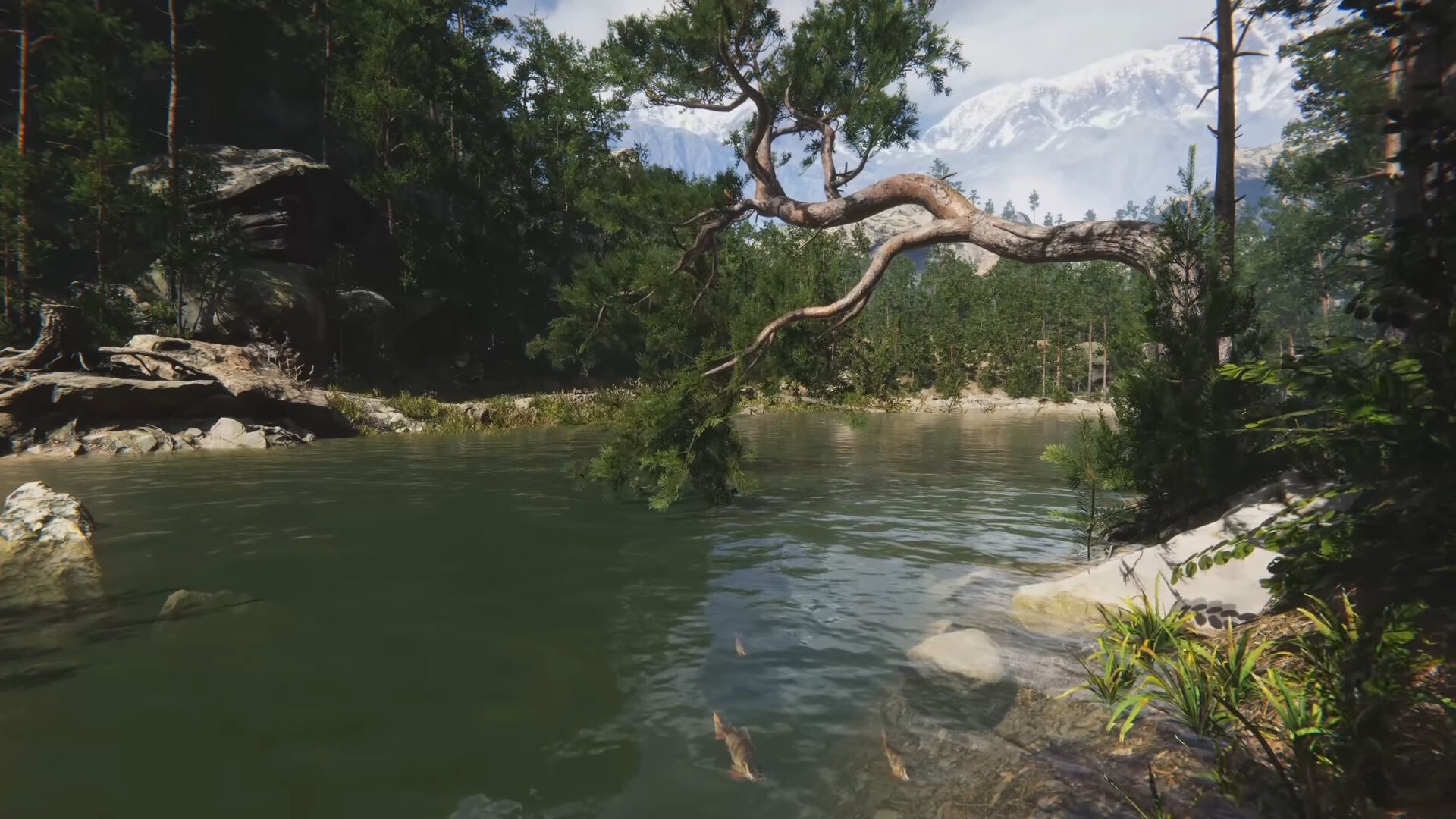 Eco Volunteer Screenshot 22