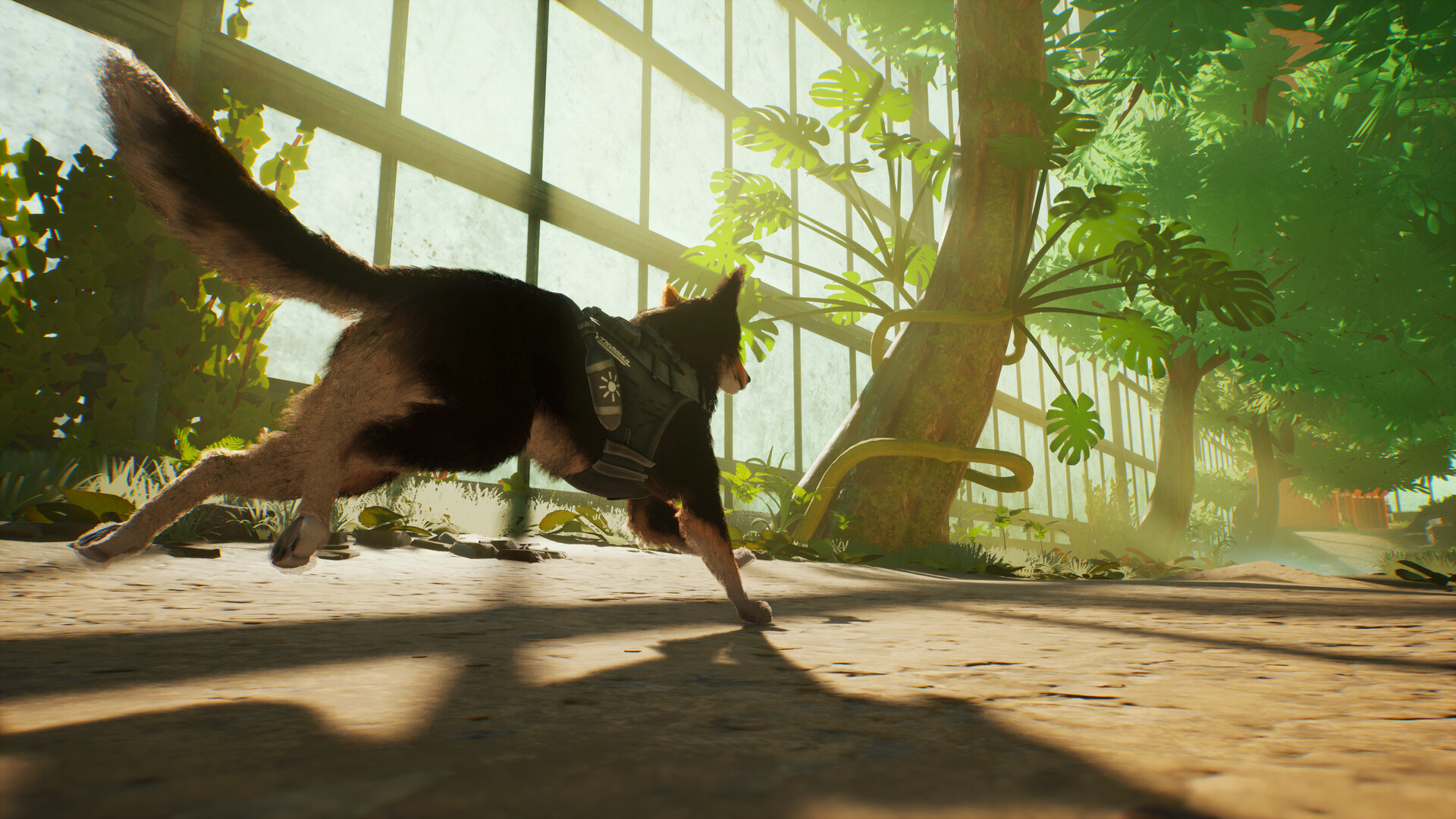 Barkour Screenshot 4