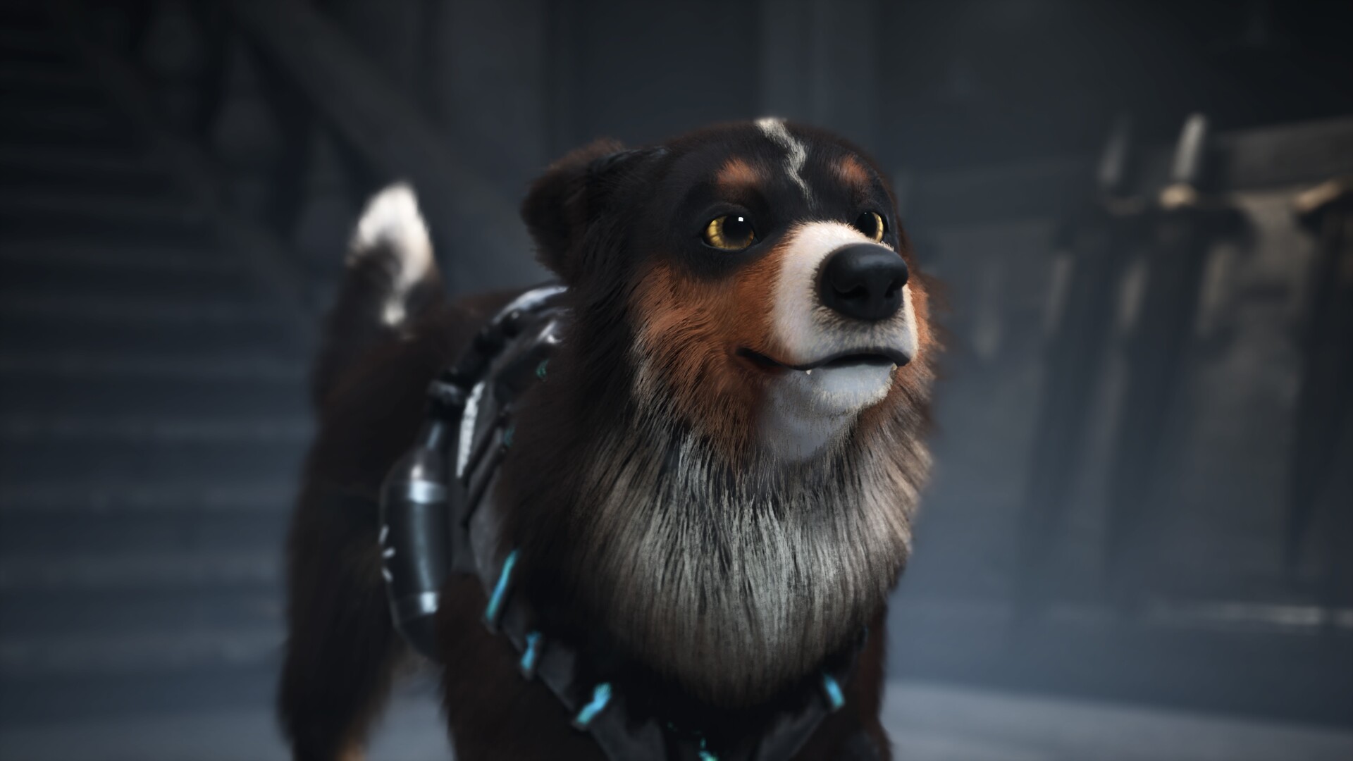 Barkour Screenshot 0