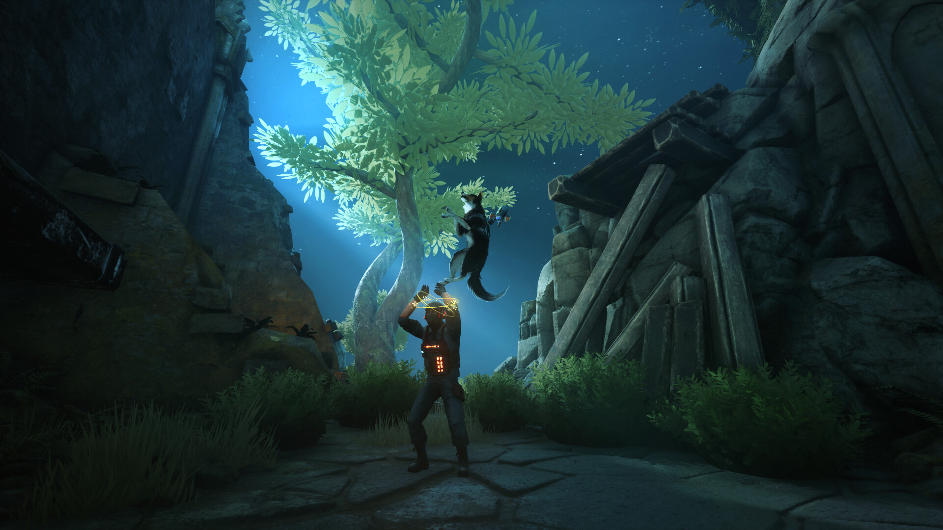 Barkour Screenshot 14