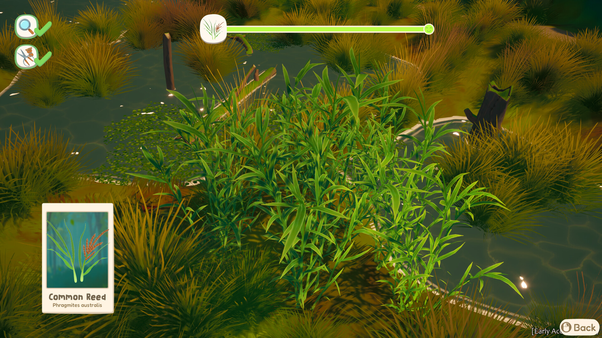 Out and About Screenshot 9