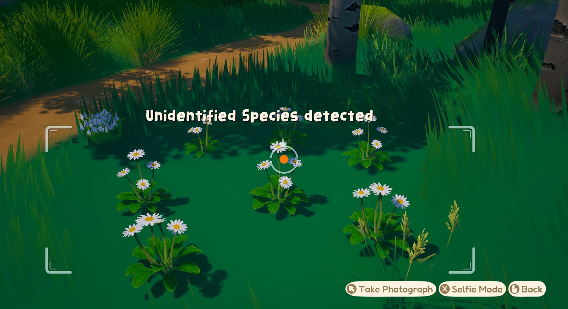 Out and About Screenshot 8