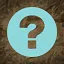 Secret icon
