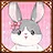 Bunny Love!