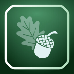Acorn icon