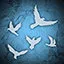 Secret of the Crow icon