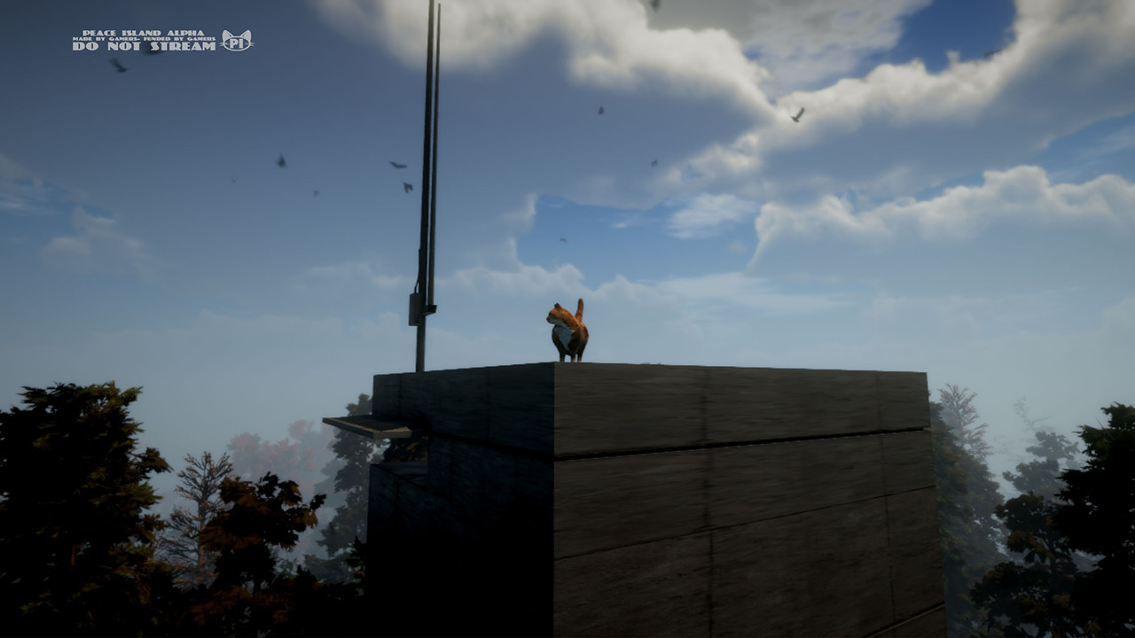 Peace Island Screenshot 7