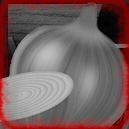 Visit kitchen with Renata icon