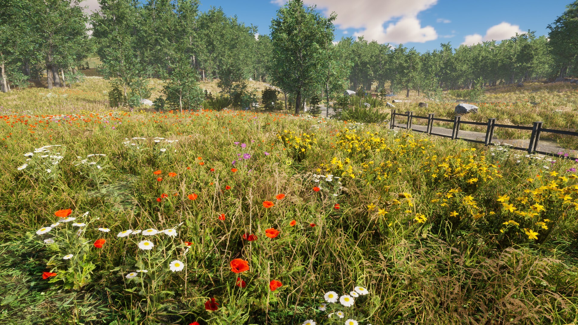 Eco Volunteer Demo Screenshot 13