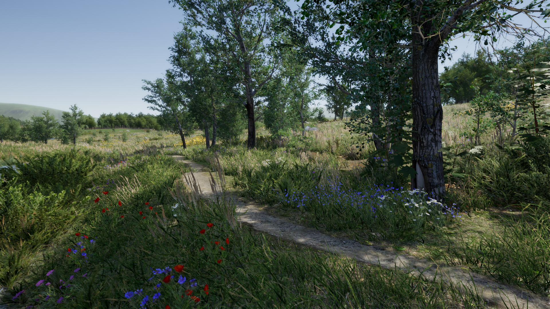 Eco Volunteer Demo Screenshot 2