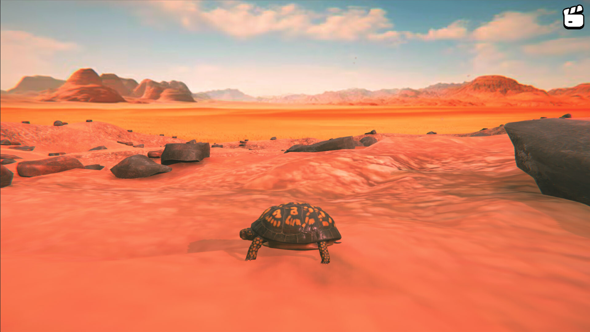 Catch the Turtle Screenshot 4