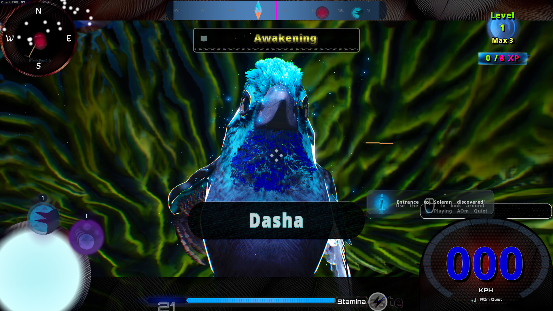 Sparrow Country Screenshot 4