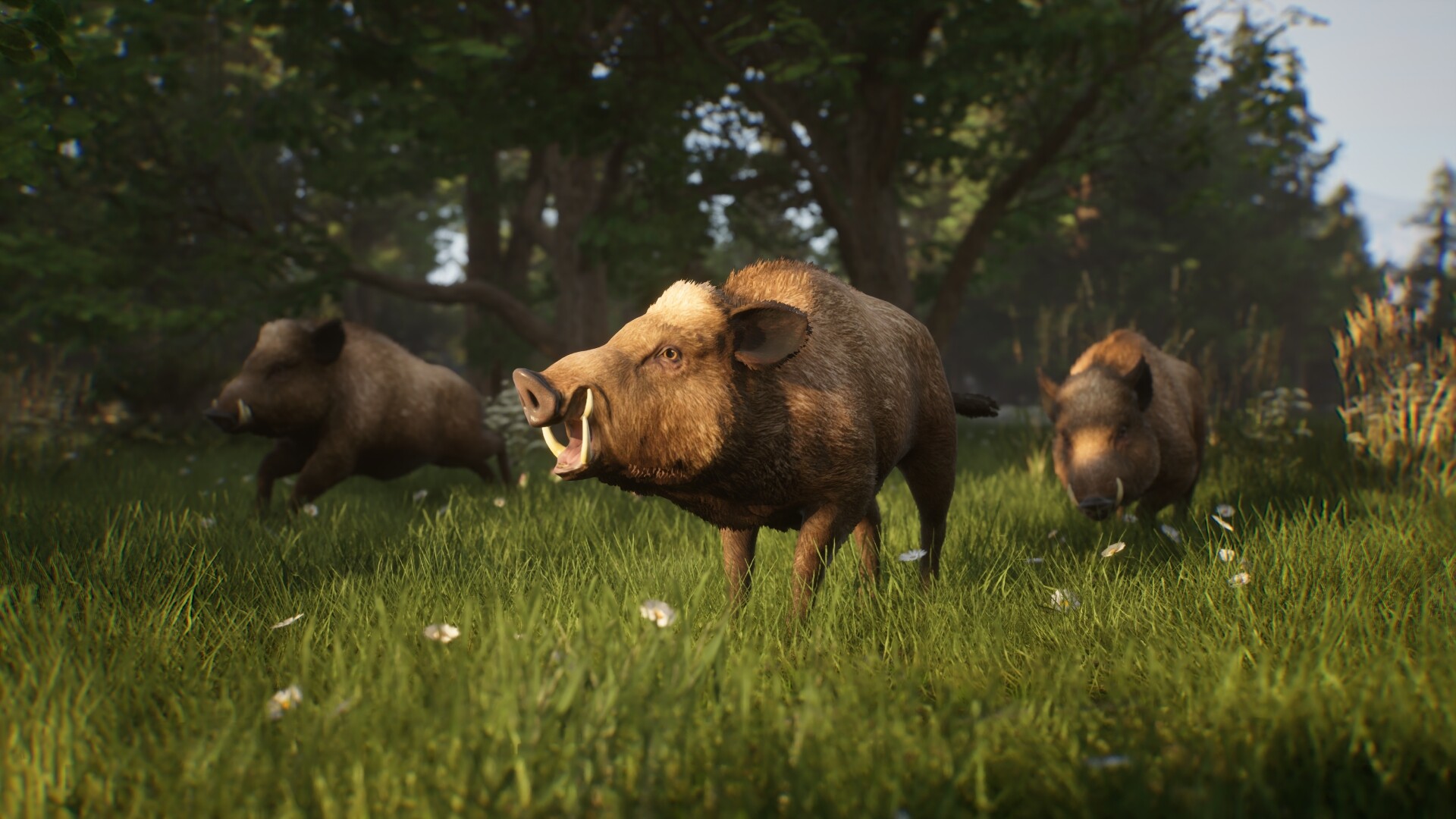 Noble Legacy Screenshot 4