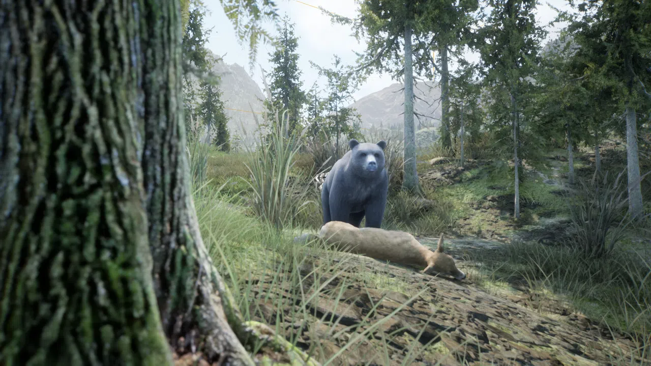 Wilderness Screenshot 4