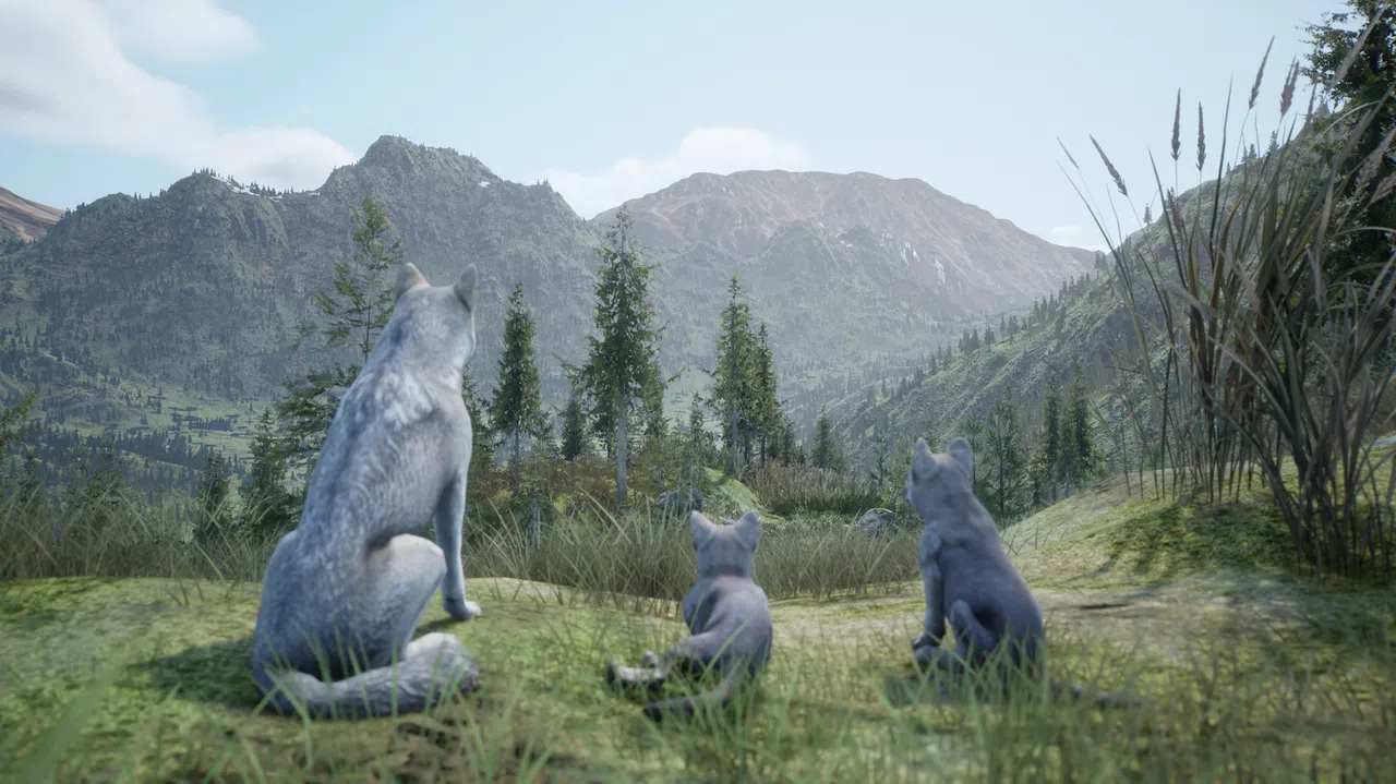 Wilderness Screenshot 5
