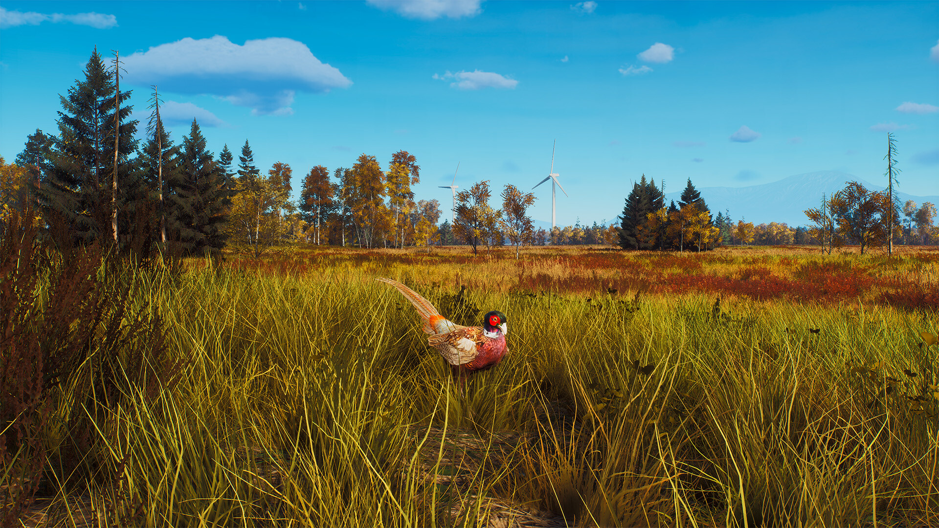 Way of the Hunter - Lintukoto Reserve Screenshot 12