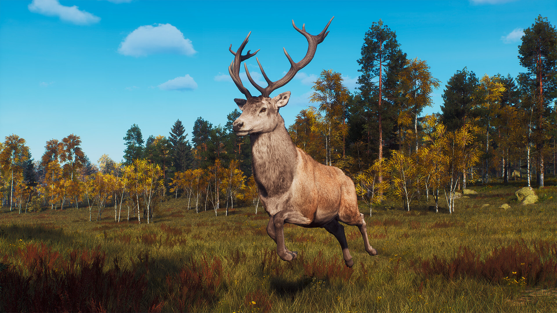 Way of the Hunter - Lintukoto Reserve Screenshot 11