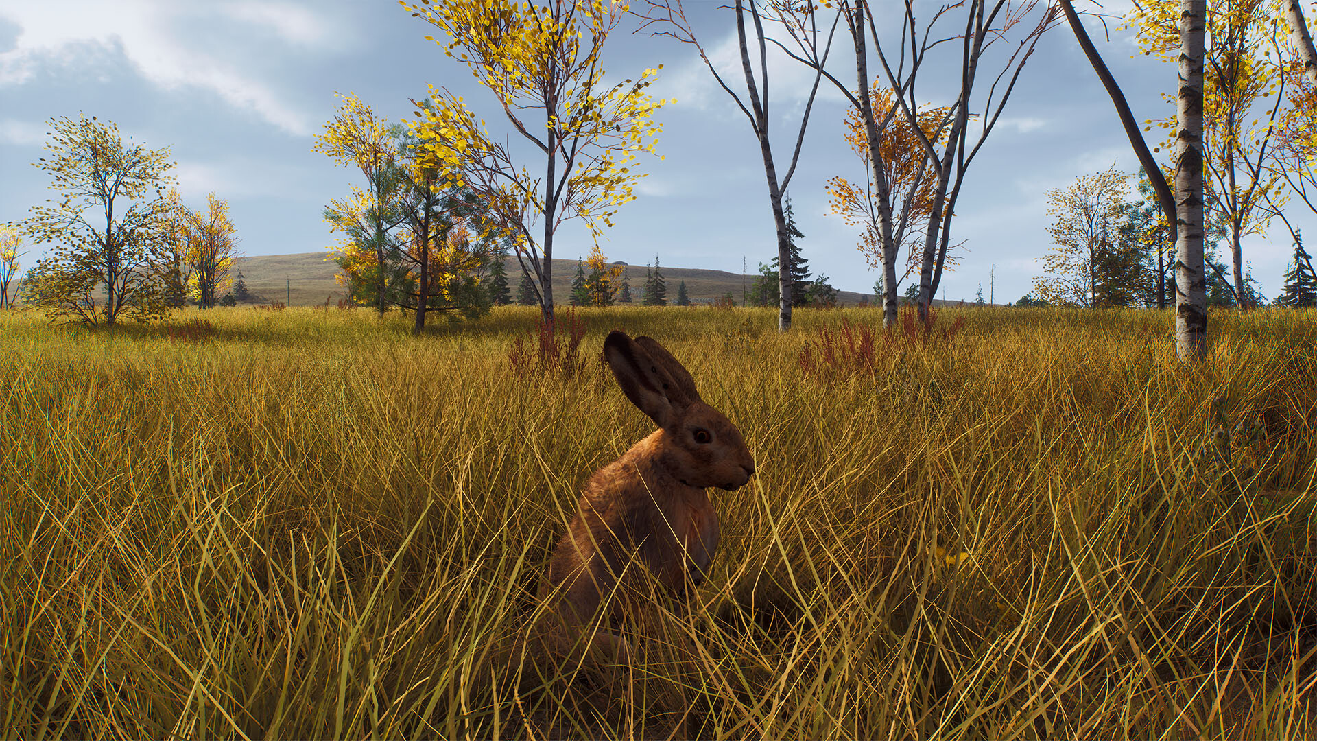 Way of the Hunter - Lintukoto Reserve Screenshot 8