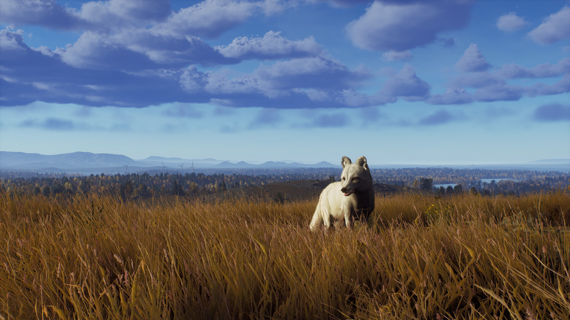 Way of the Hunter - Lintukoto Reserve Screenshot 3