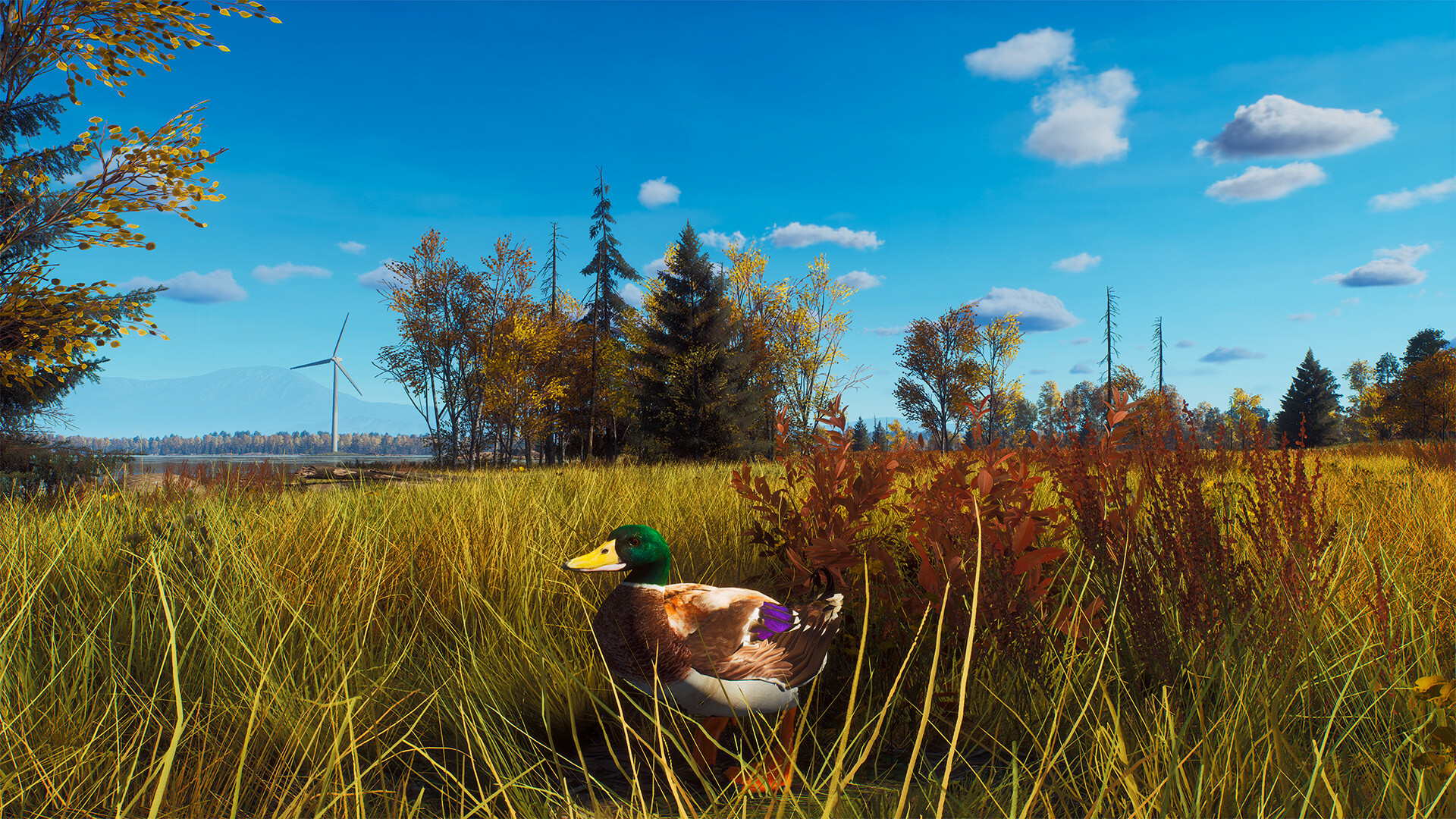 Way of the Hunter - Lintukoto Reserve Screenshot 13