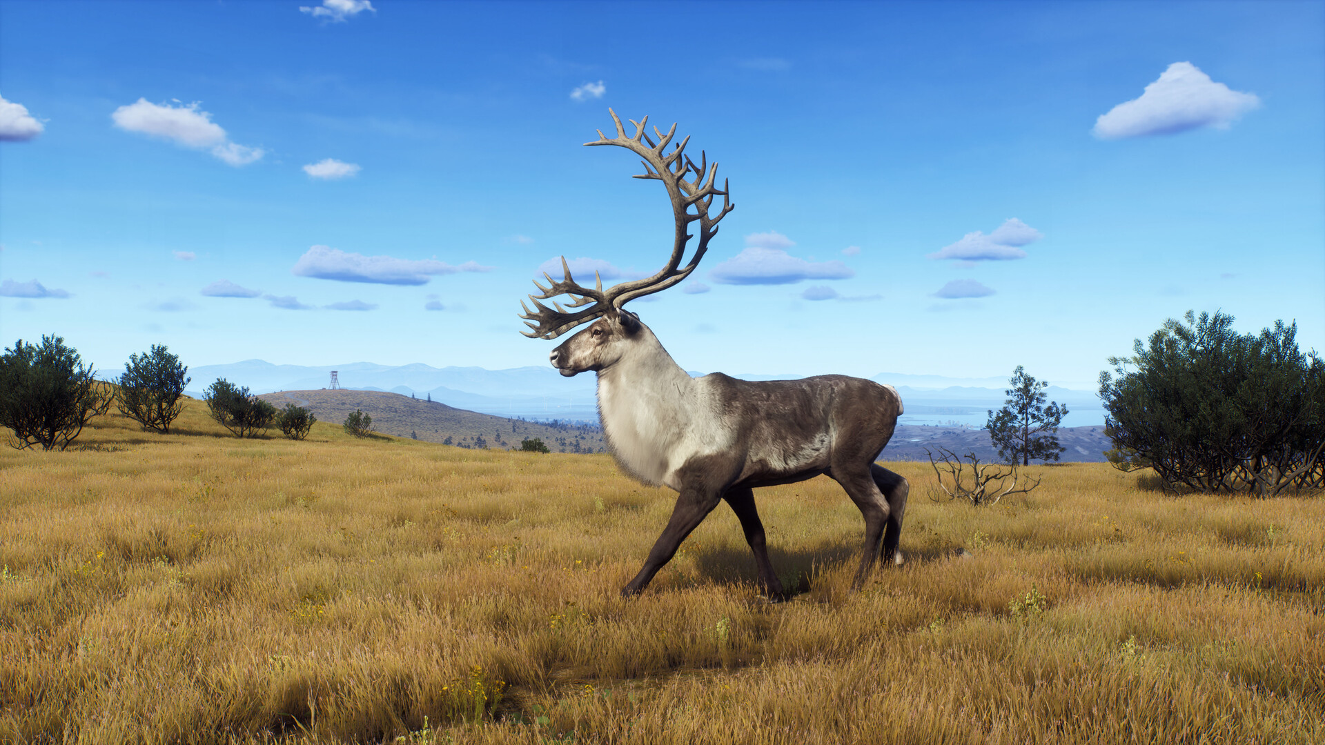 Way of the Hunter - Lintukoto Reserve Screenshot 1