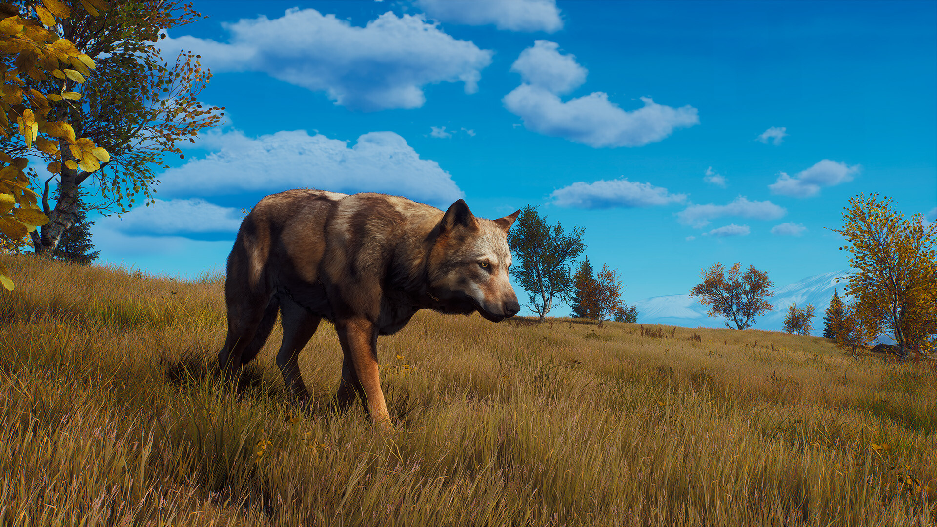 Way of the Hunter - Lintukoto Reserve Screenshot 7