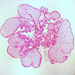 I Can’t Go For That (No Can Do)