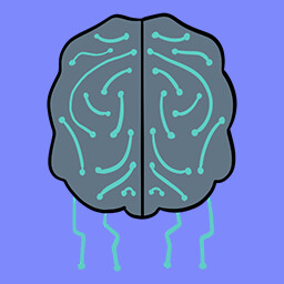 Upgraded and Nowhere to Go