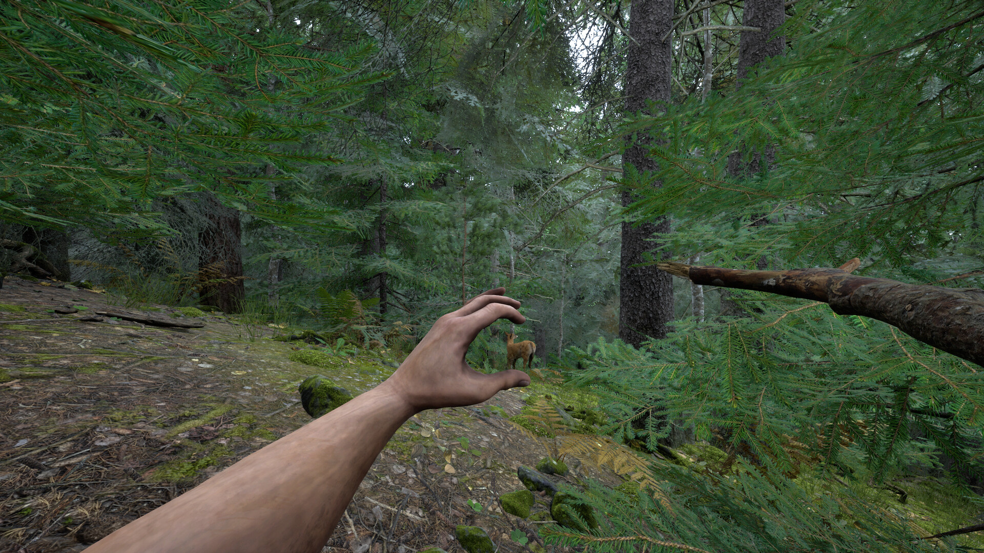 Paleolith Screenshot 7