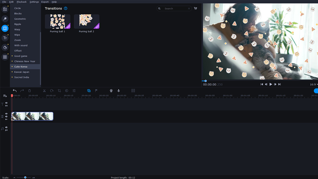 Movavi Video Editor Plus 2022 - Eastern World Set Screenshot 2