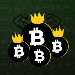Bitcoin Master icon