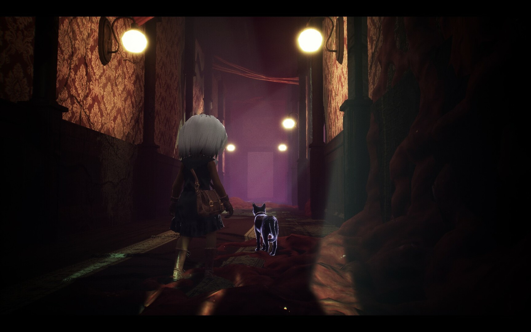 LIGHT: Black Cat & Amnesia Girl Screenshot 1