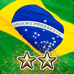 Rio de Janeiro Flourishes icon