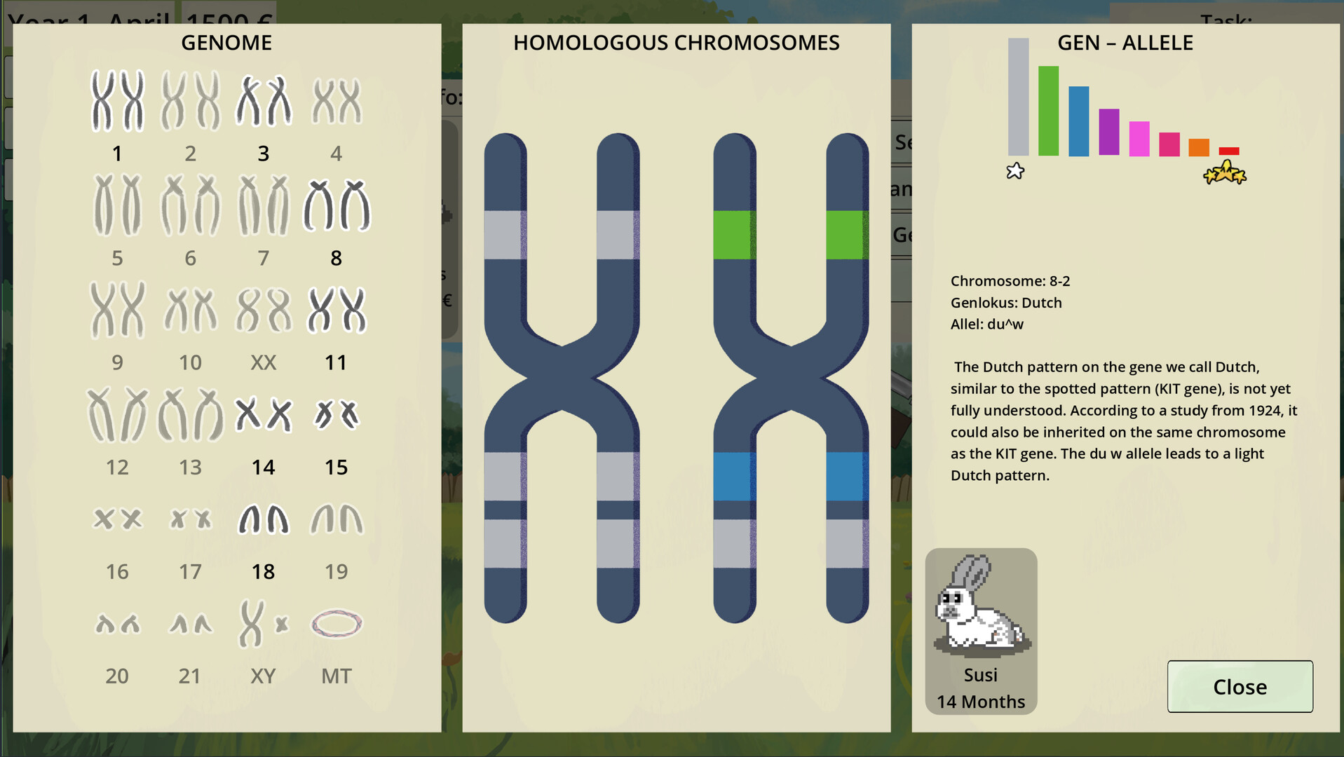 Rare Rabbits - Snuggle Haven Screenshot 2