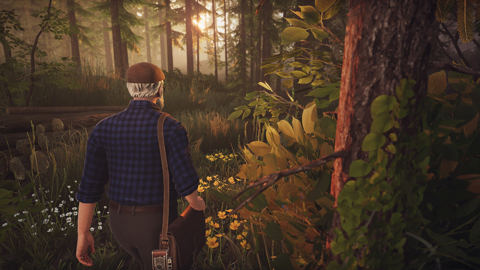 Forever Ago Screenshot 1