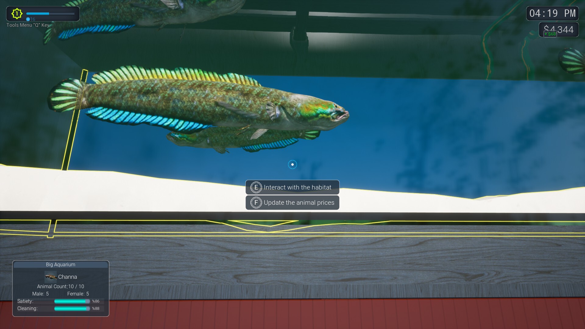 Exotica 2: Pet Shop Simulator Screenshot 9