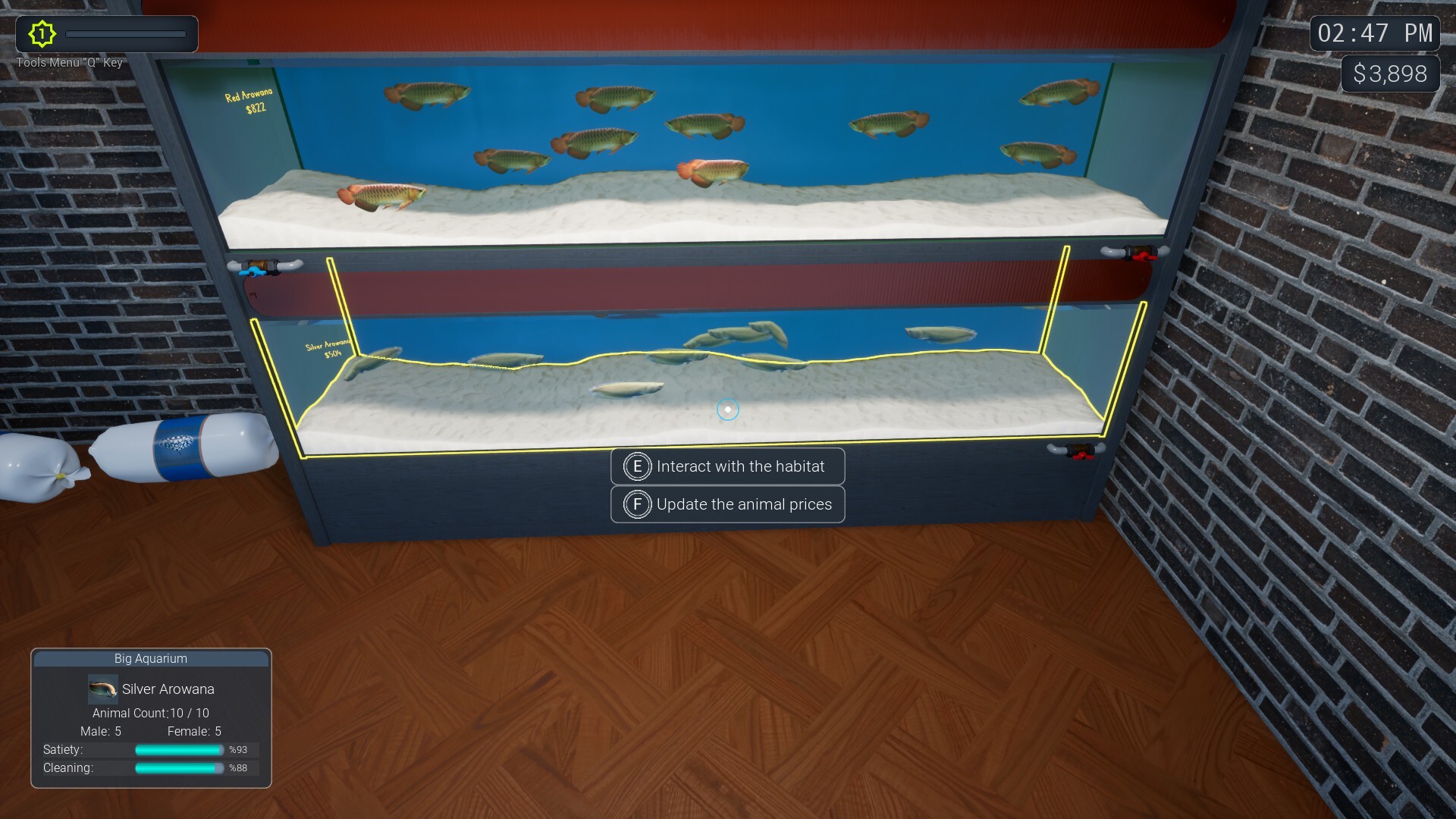 Exotica 2: Pet Shop Simulator Screenshot 8