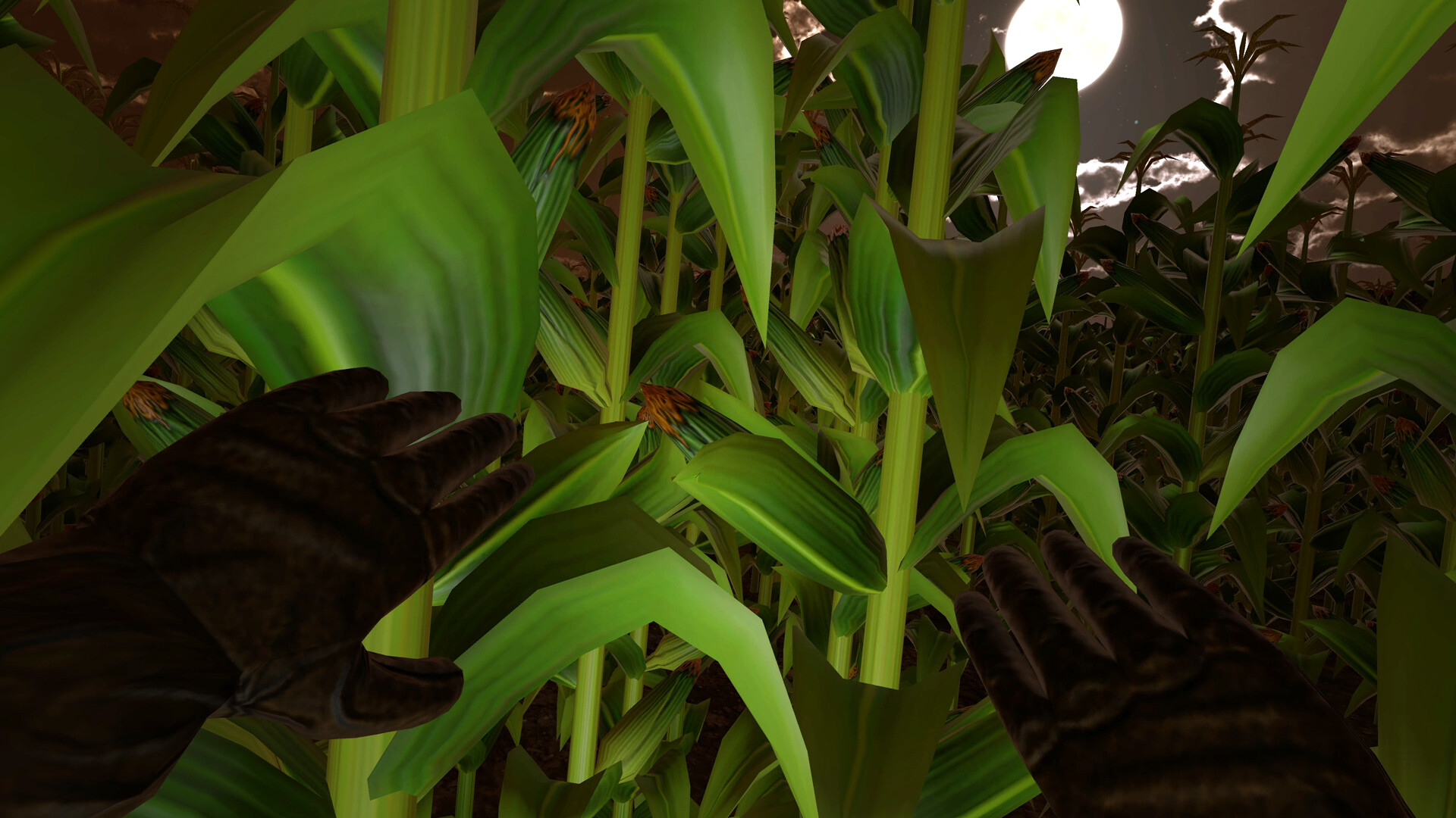 Zardy's Cave Screenshot 8