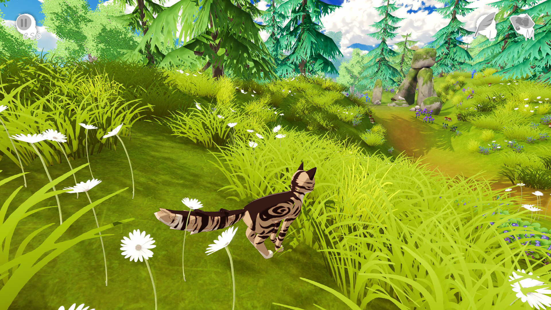 Tails of the North Screenshot 0