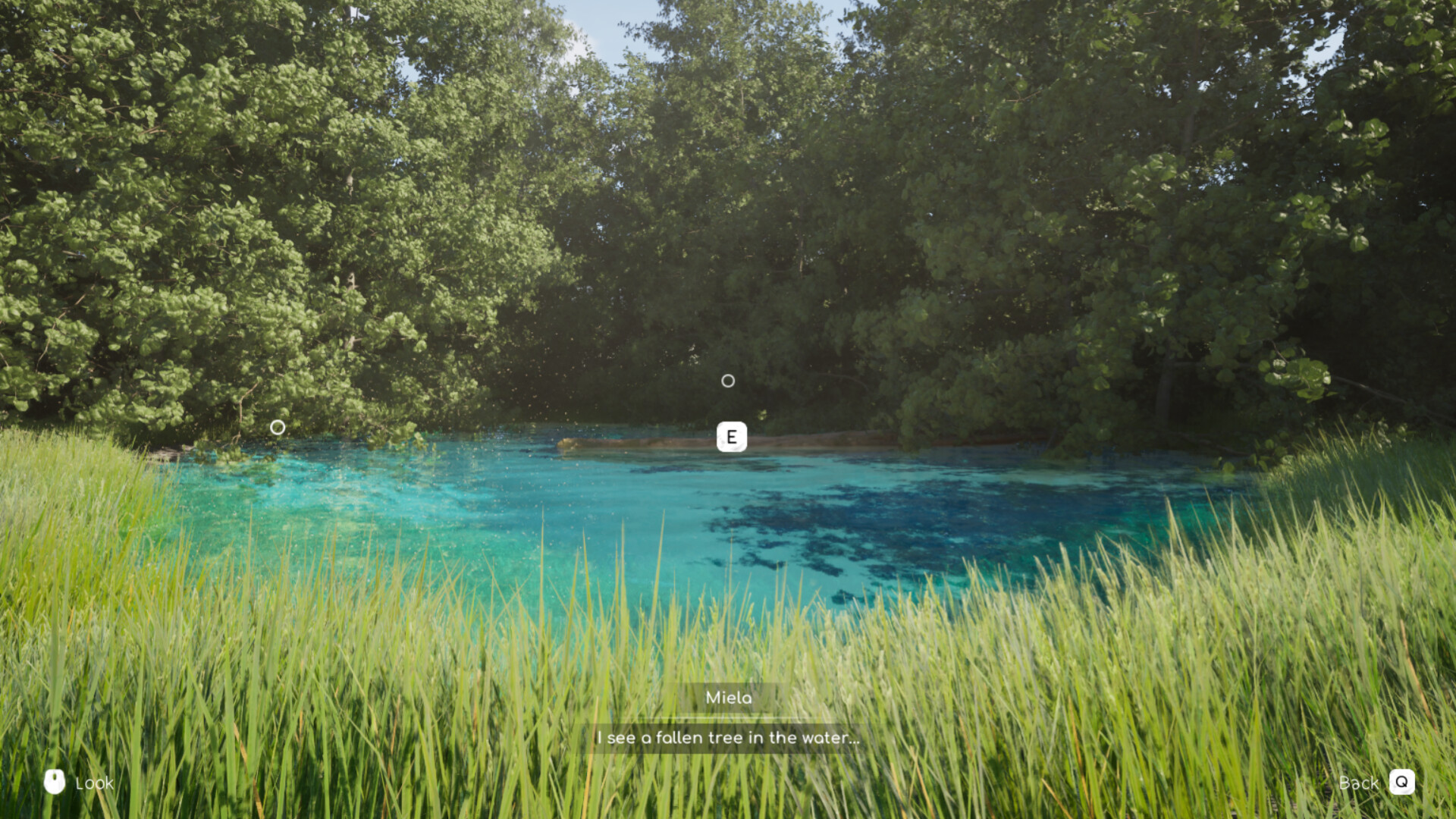 Arcadian Days Screenshot 4