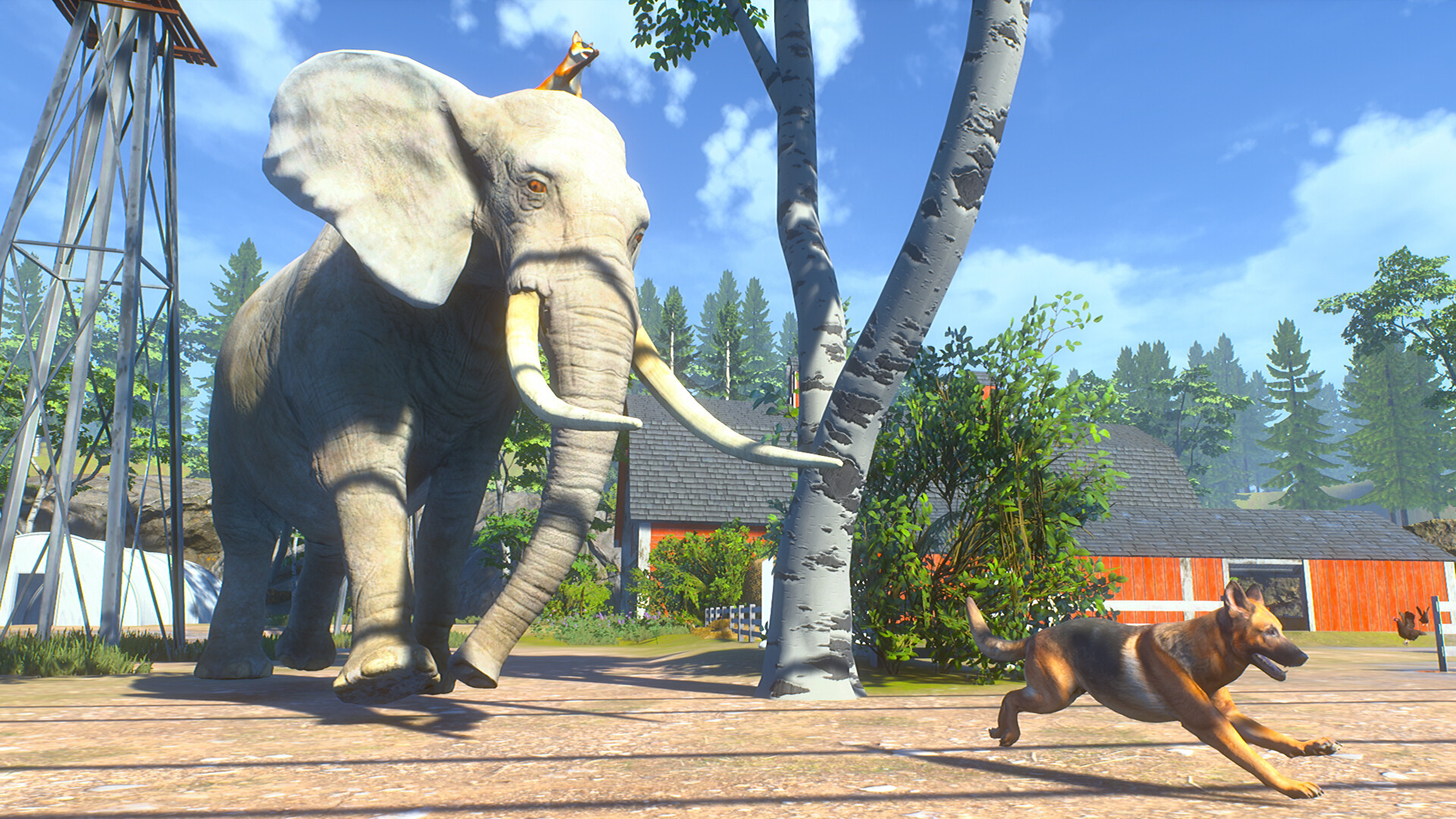 Chill Fox Screenshot 1