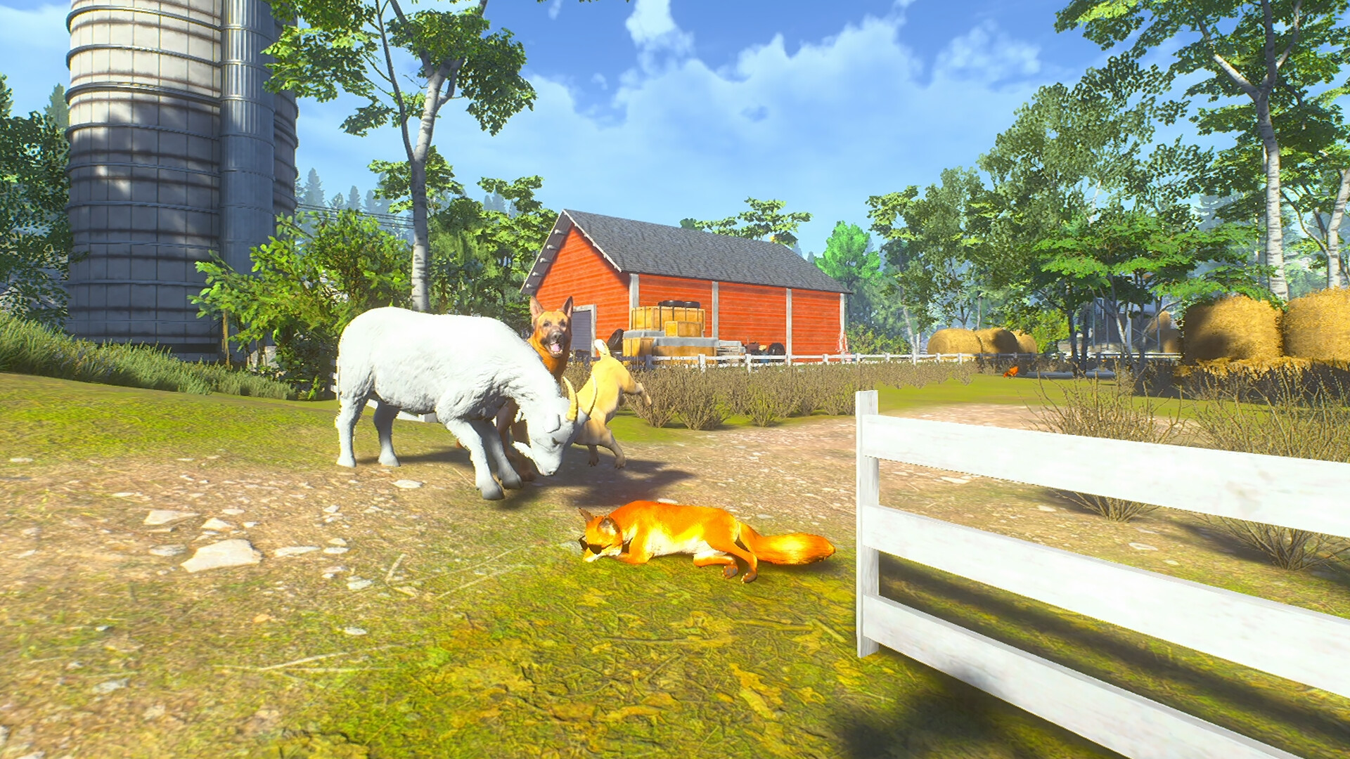 Chill Fox Screenshot 3