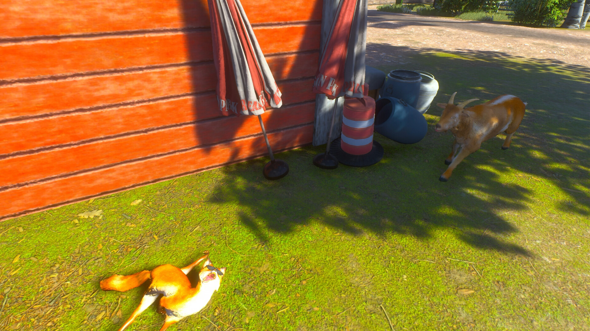 Chill Fox Screenshot 5