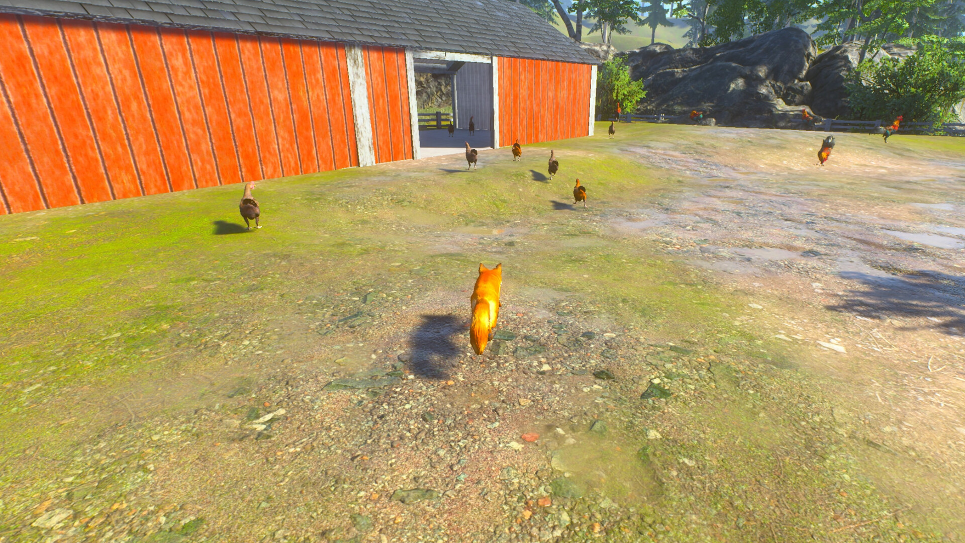 Chill Fox Screenshot 4